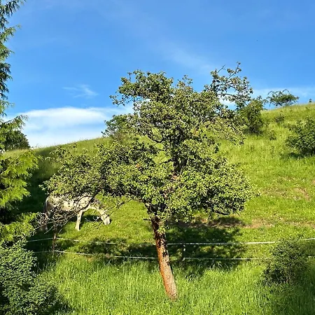 Dom Podgorze 23 بيت للعطل