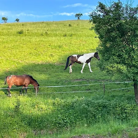 Hébergement de vacances Dom Podgorze 23