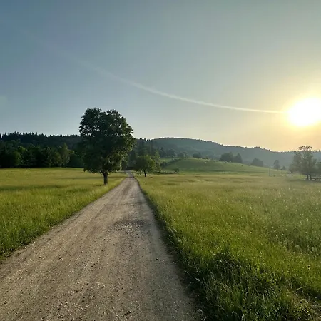 Dom Podgorze 23 بيت للعطل *