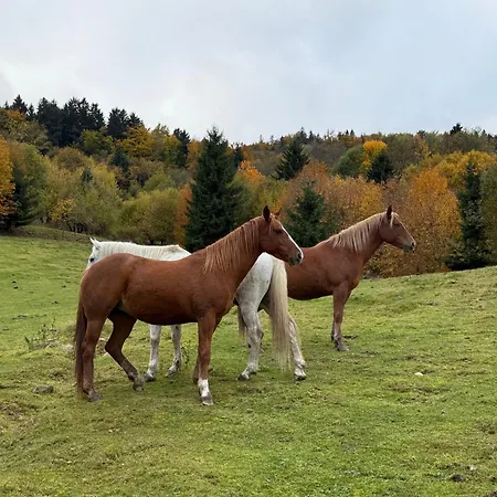 Dom Podgorze 23 Nyaraló *
