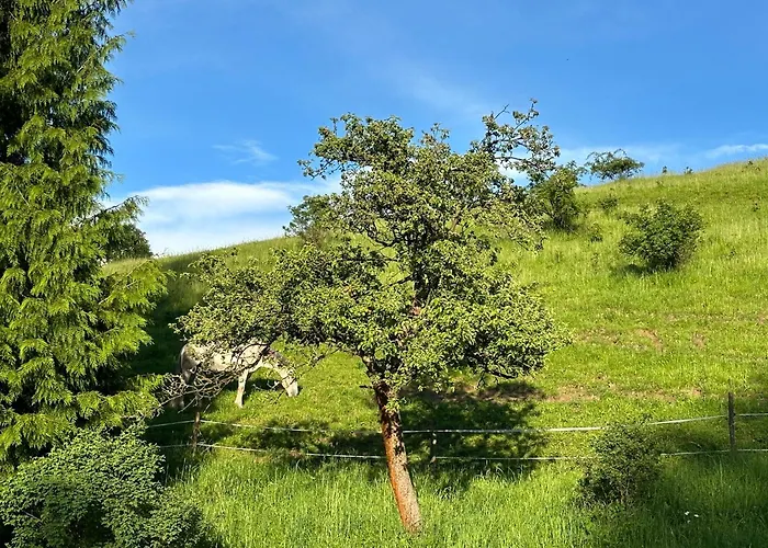 Dom Podgorze 23 Holiday home