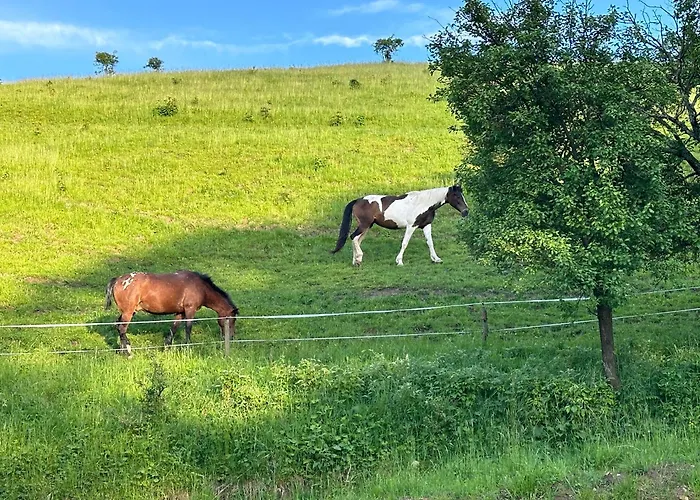 펜션 Dom Podgorze 23