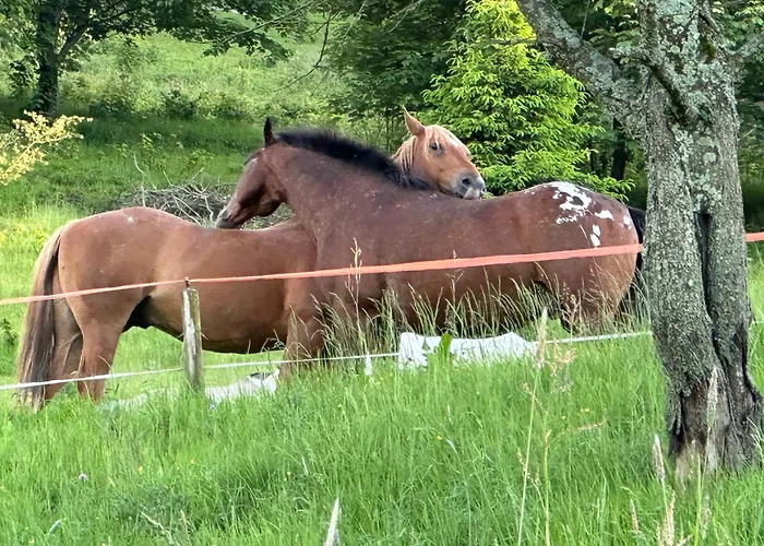 Dom Podgorze 23 * Duszniki Zdroj