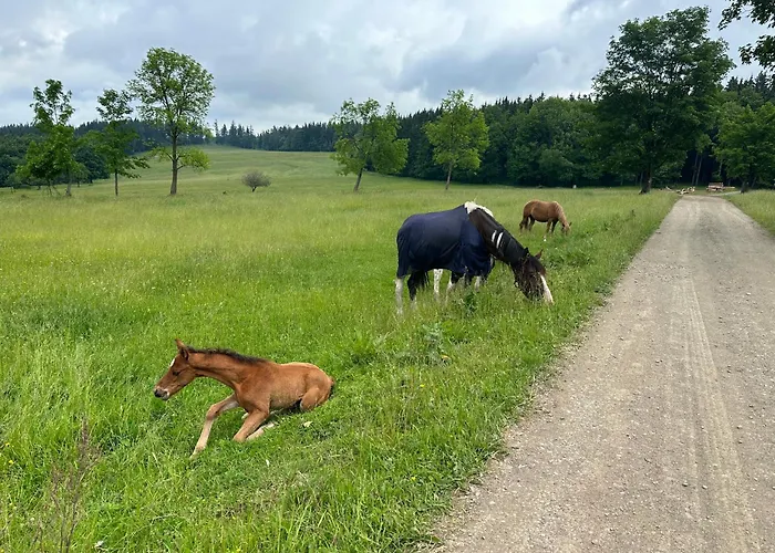 펜션 Dom Podgorze 23 *