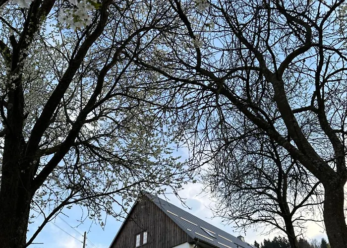 Dom Podgorze 23 두슈니키 즈드로지