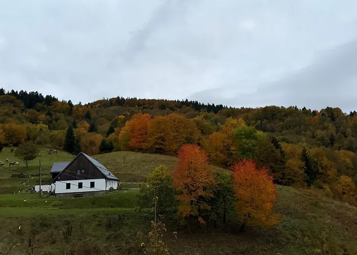 Dom Podgorze 23 펜션 *