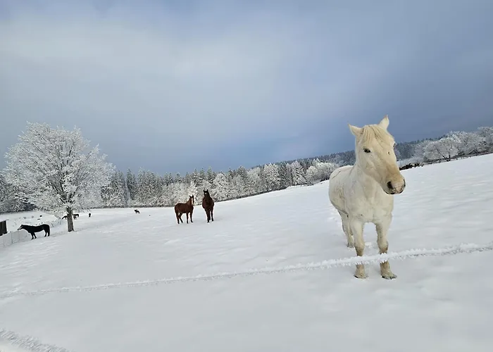 펜션 Dom Podgorze 23